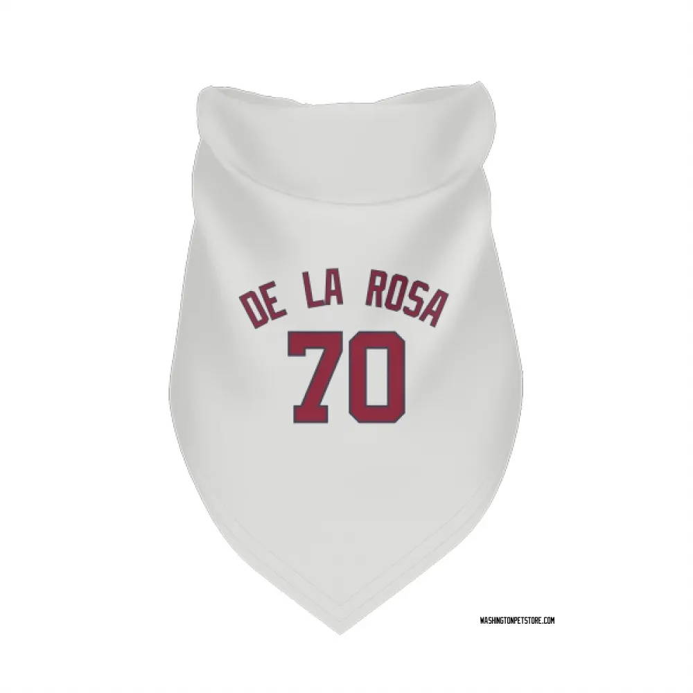 Washington Nationals Jeremy De La Rosa White Pet Bandana for Dog & Cat