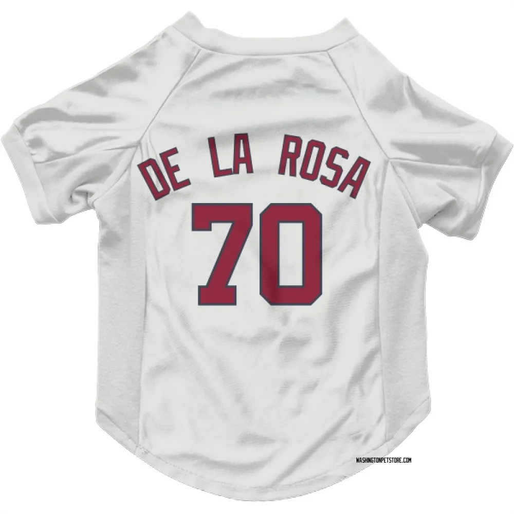 Washington Nationals Jeremy De La Rosa White Pet Jersey for Dog & Cat