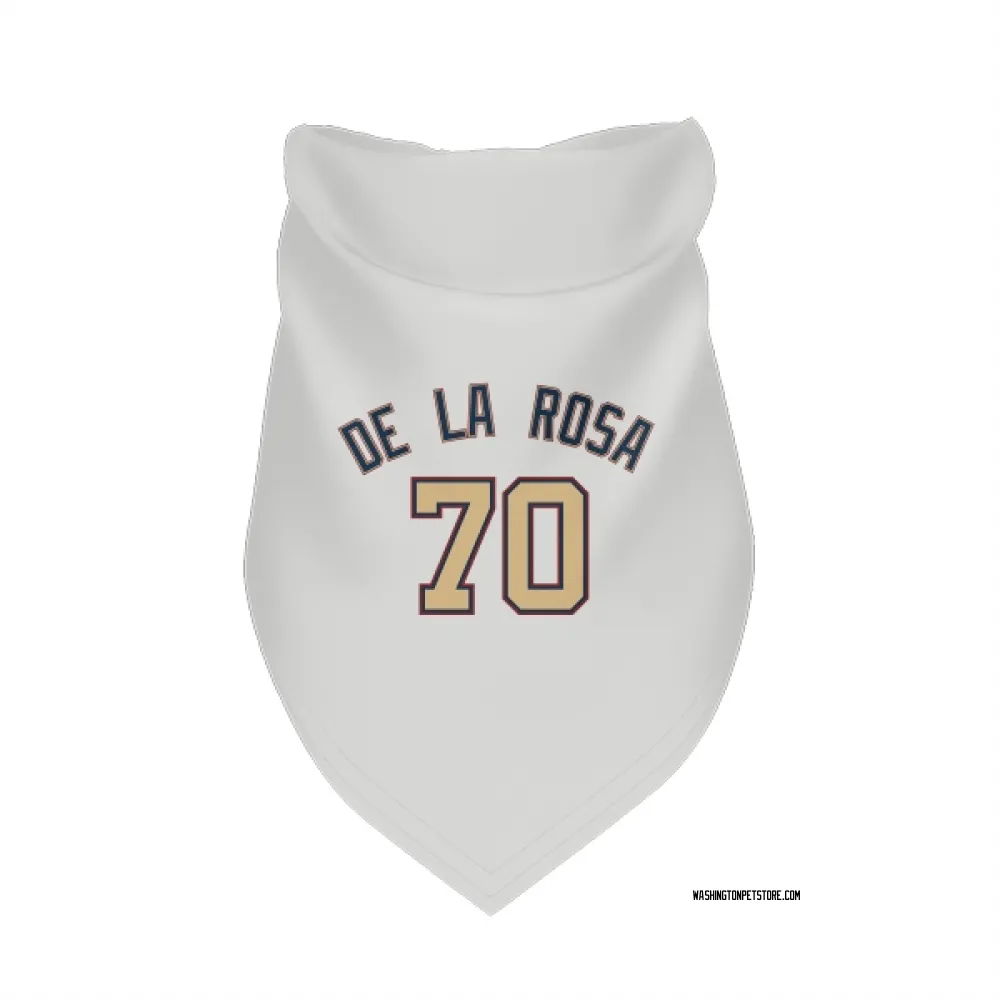 Washington Nationals Jeremy De La Rosa White/Gold Pet Bandana for Dog & Cat