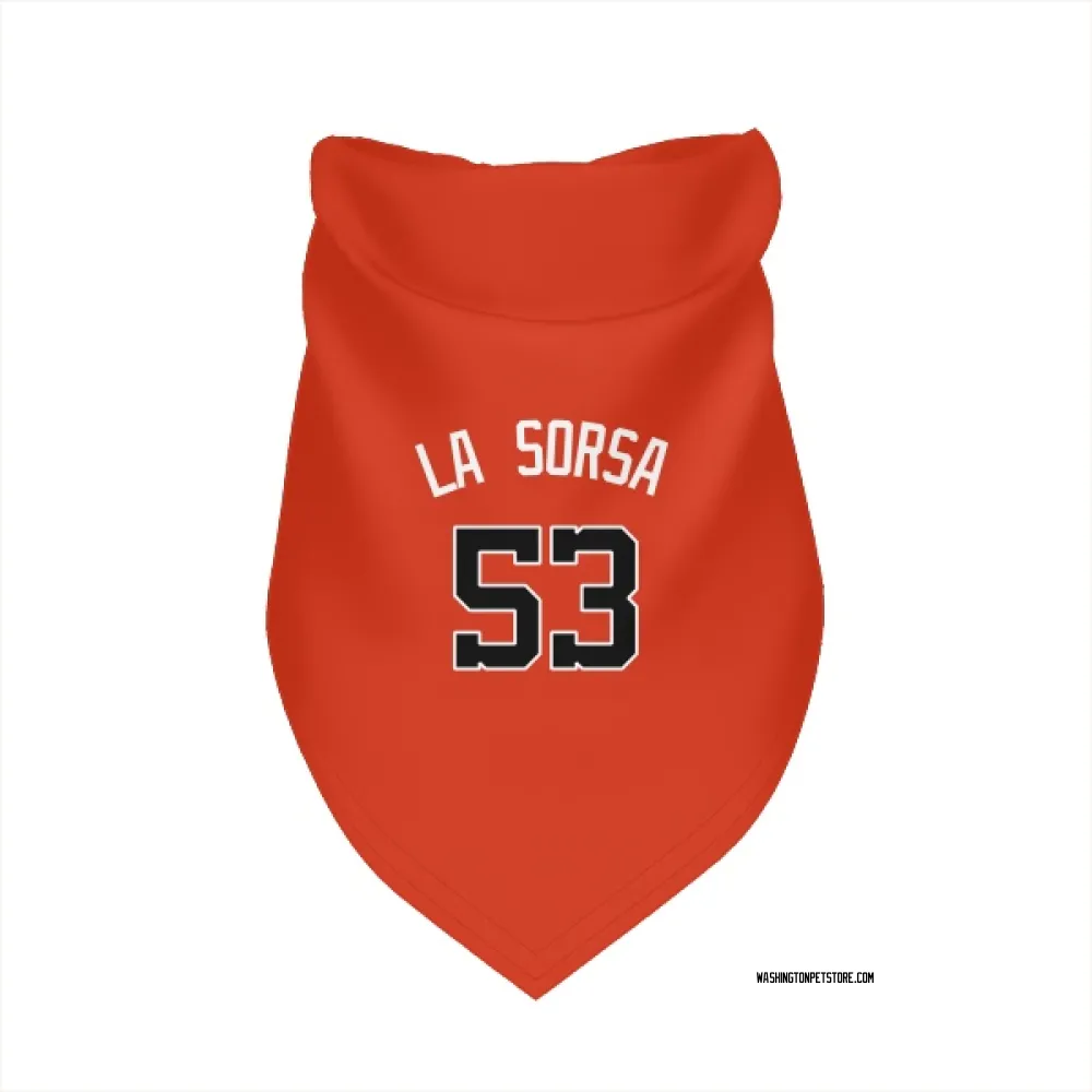 Washington Nationals Joe La Sorsa Orange Pet Bandana for Dog & Cat