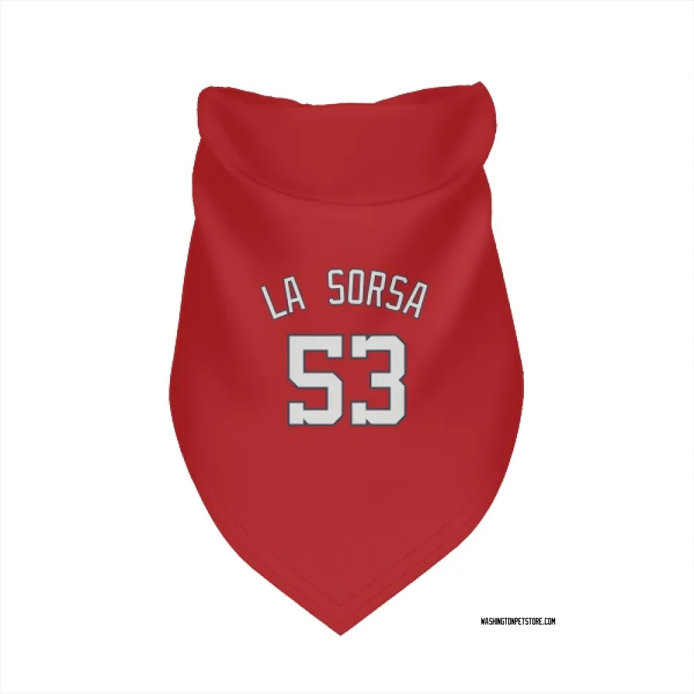 Washington Nationals Joe La Sorsa Red Pet Bandana for Dog & Cat