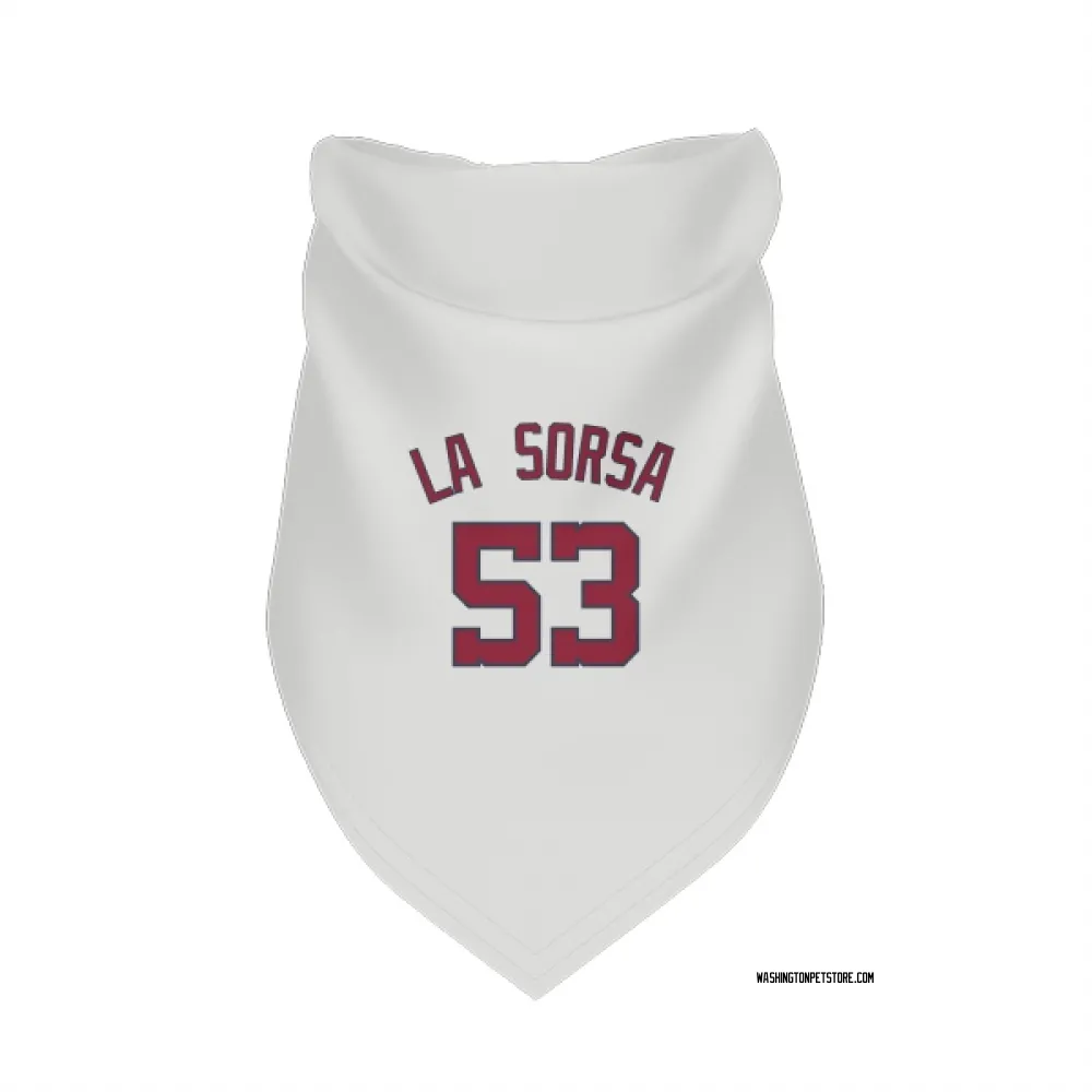 Washington Nationals Joe La Sorsa White Pet Bandana for Dog & Cat