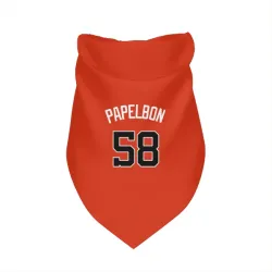Washington Nationals Jonathan Papelbon Orange Pet Bandana for Dog & Cat