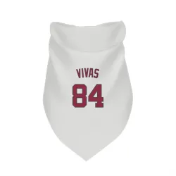 Washington Nationals Jorbit Vivas White Pet Bandana for Dog & Cat