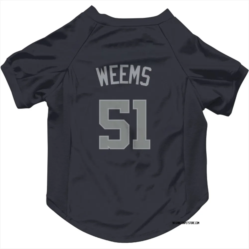 Washington Nationals Jordan Weems Navy Gray Pet Jersey for Dog & Cat