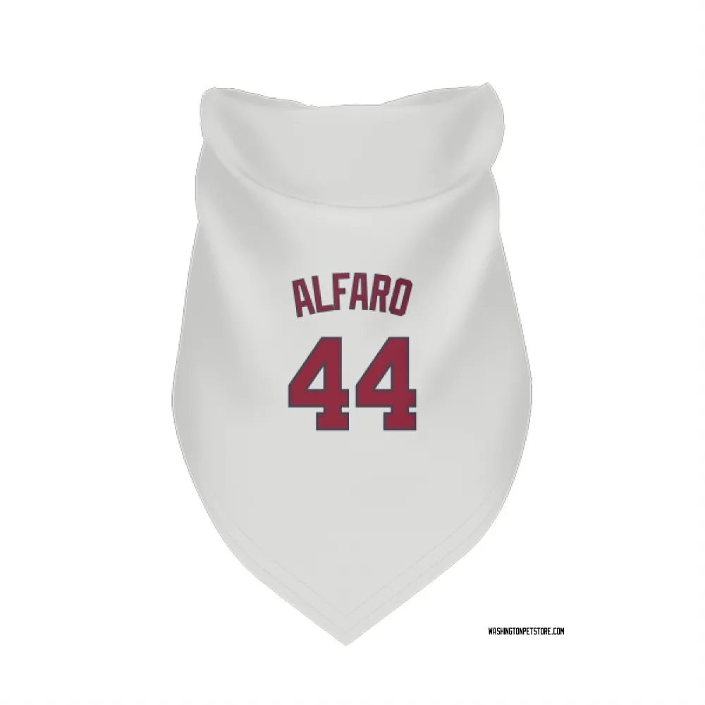 Washington Nationals Jorge Alfaro White Pet Bandana for Dog & Cat