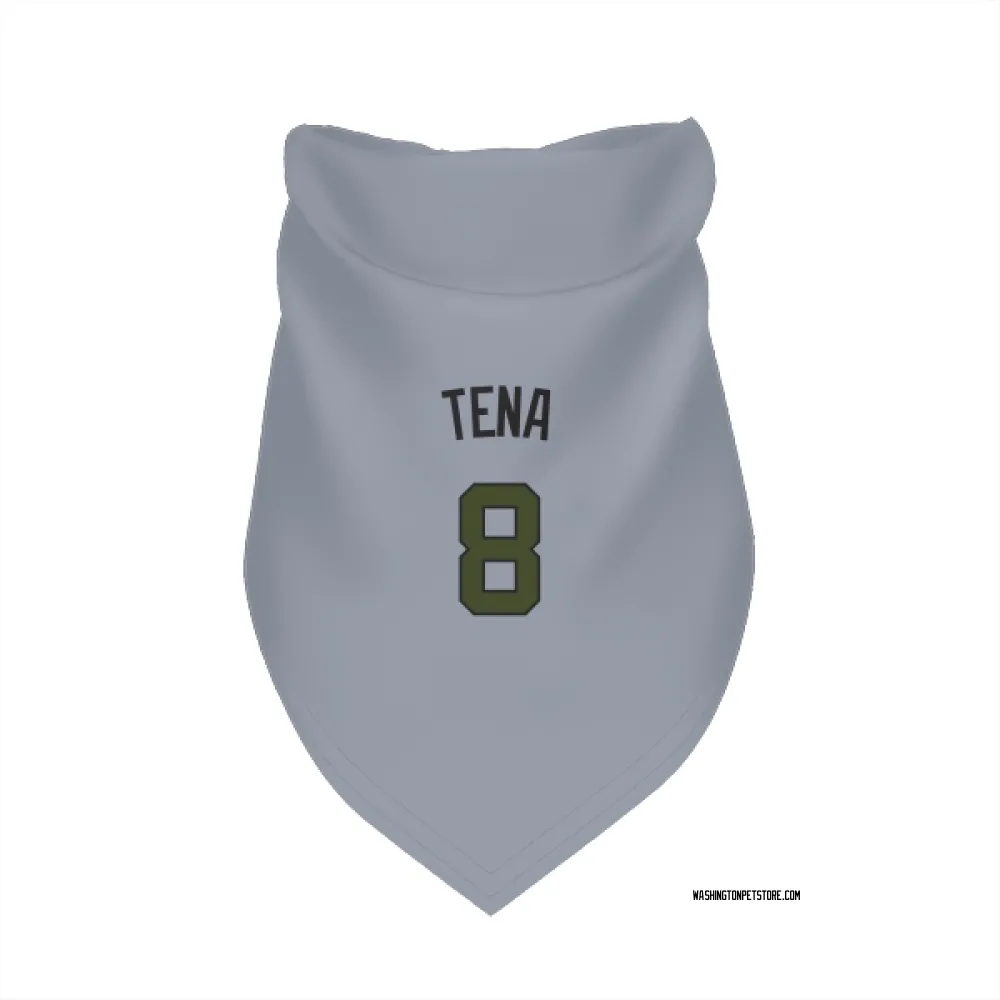 Washington Nationals Jose Tena Gray Pet Bandana for Dog & Cat