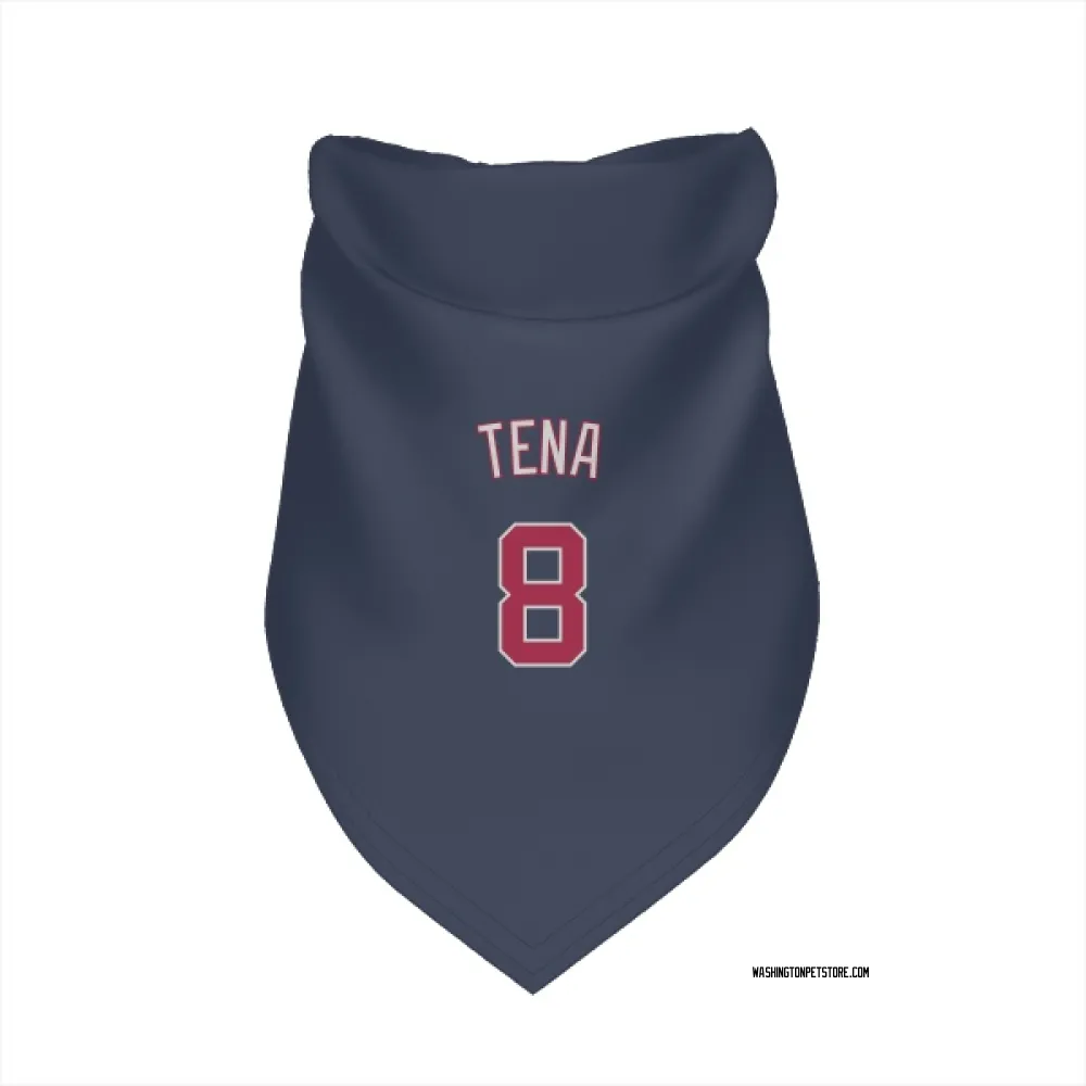 Washington Nationals Jose Tena Navy Pet Bandana for Dog & Cat