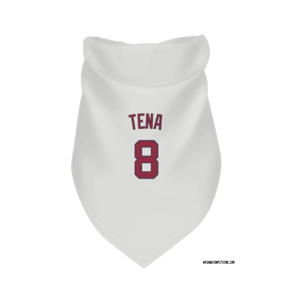 Washington Nationals Jose Tena White Pet Bandana for Dog & Cat