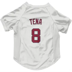 Washington Nationals Jose Tena White Pet Jersey for Dog & Cat