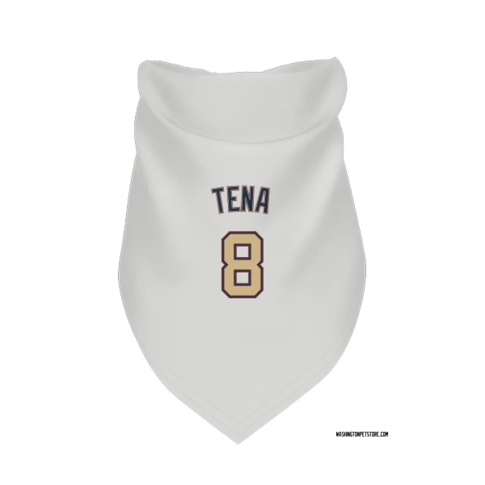 Washington Nationals Jose Tena White/Gold Pet Bandana for Dog & Cat