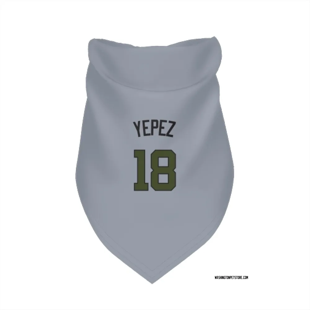 Washington Nationals Juan Yepez Gray Pet Bandana for Dog & Cat