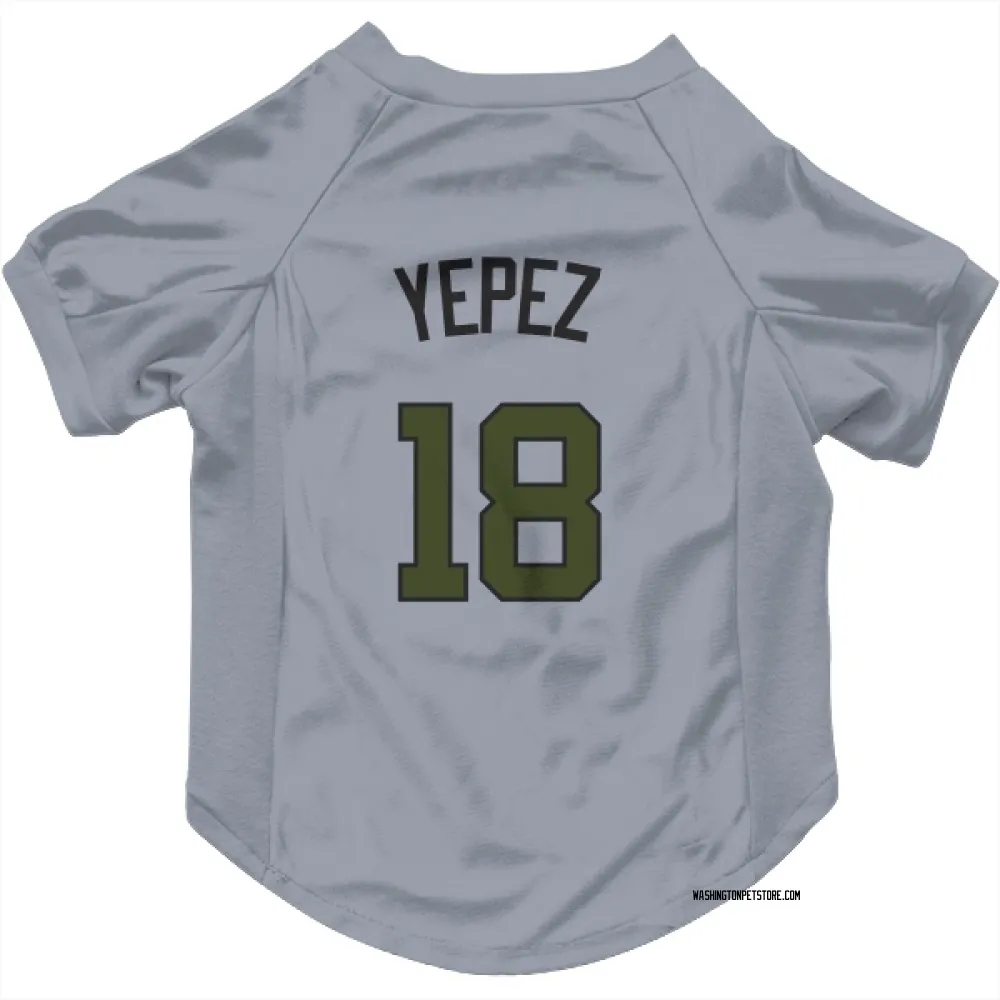 Washington Nationals Juan Yepez Gray Pet Jersey for Dog & Cat