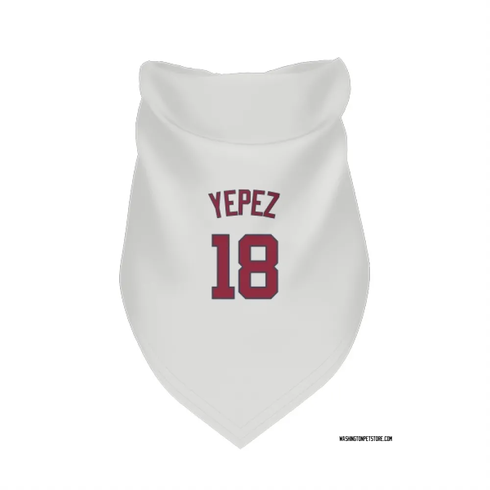 Washington Nationals Juan Yepez White Pet Bandana for Dog & Cat