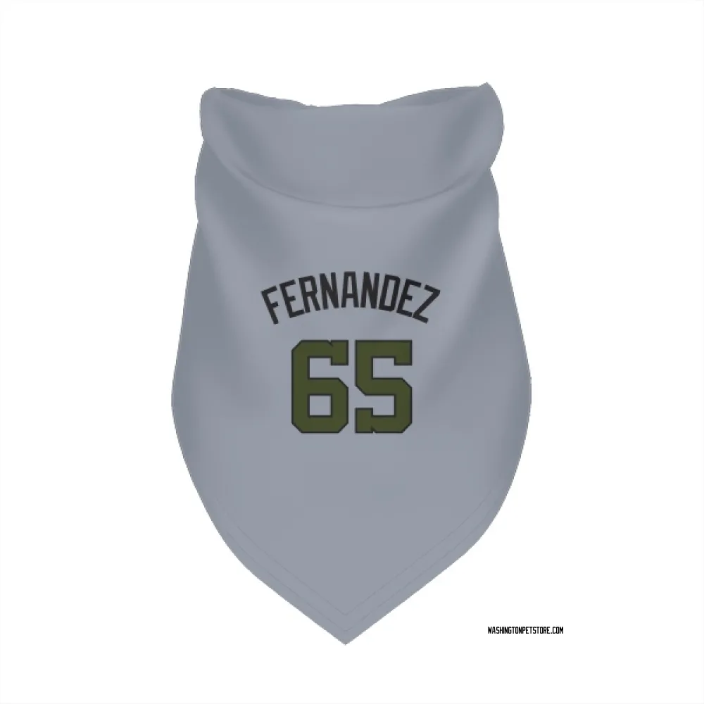 Washington Nationals Julian Fernandez Gray Pet Bandana for Dog & Cat