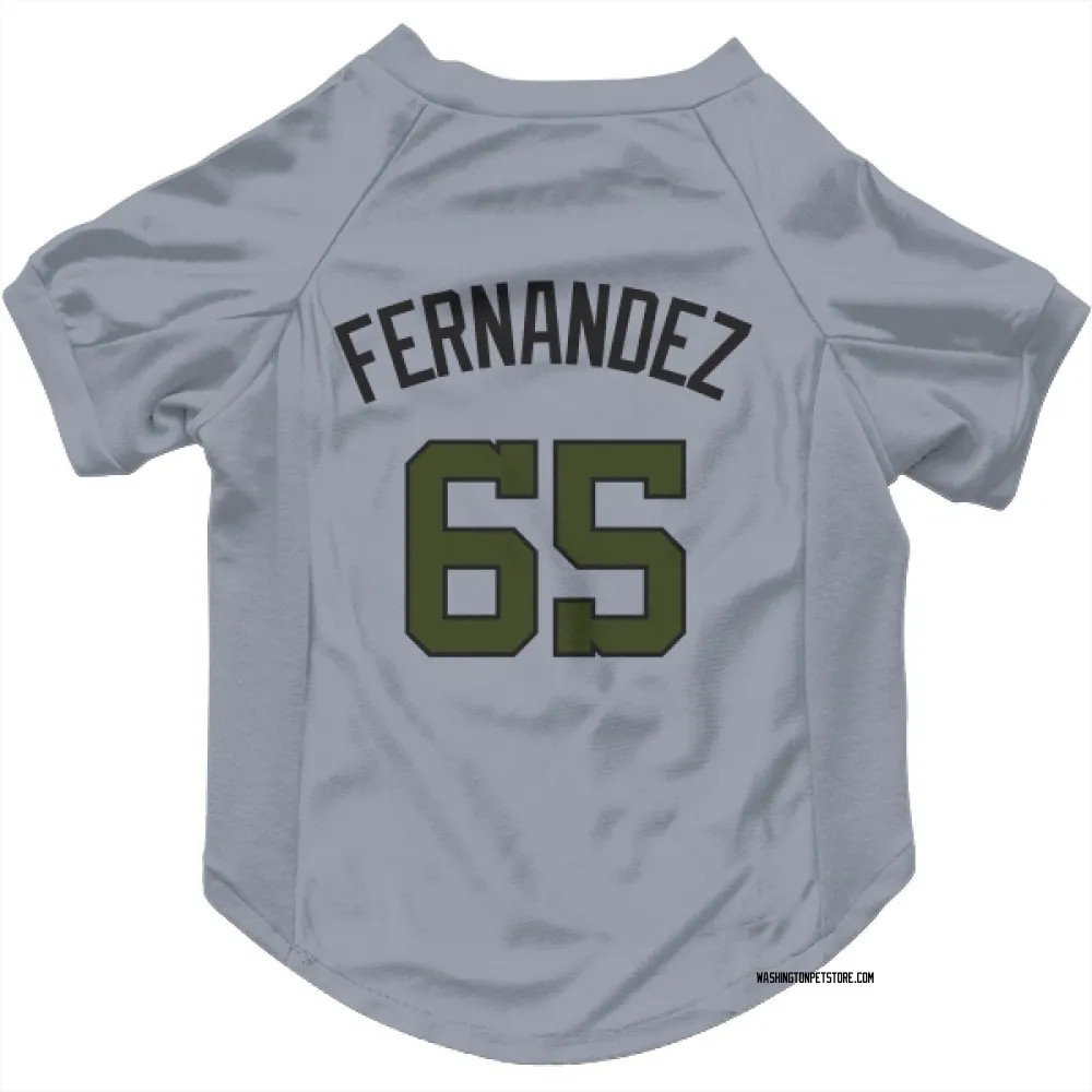 Washington Nationals Julian Fernandez Gray Pet Jersey for Dog & Cat