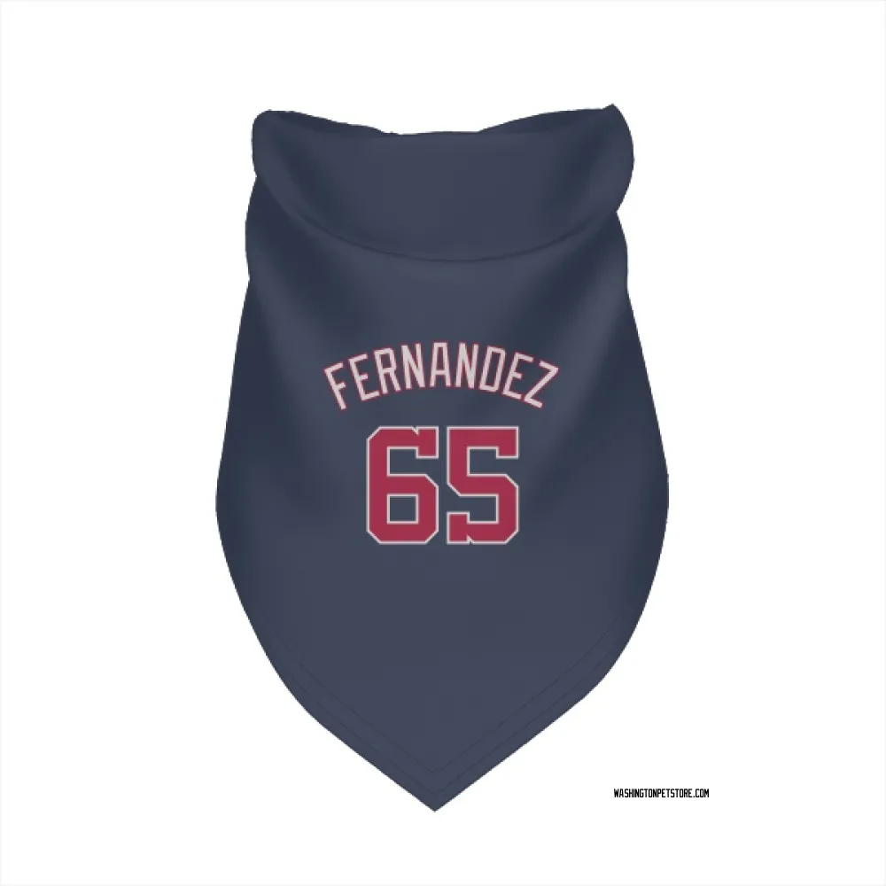 Washington Nationals Julian Fernandez Navy Pet Bandana for Dog & Cat