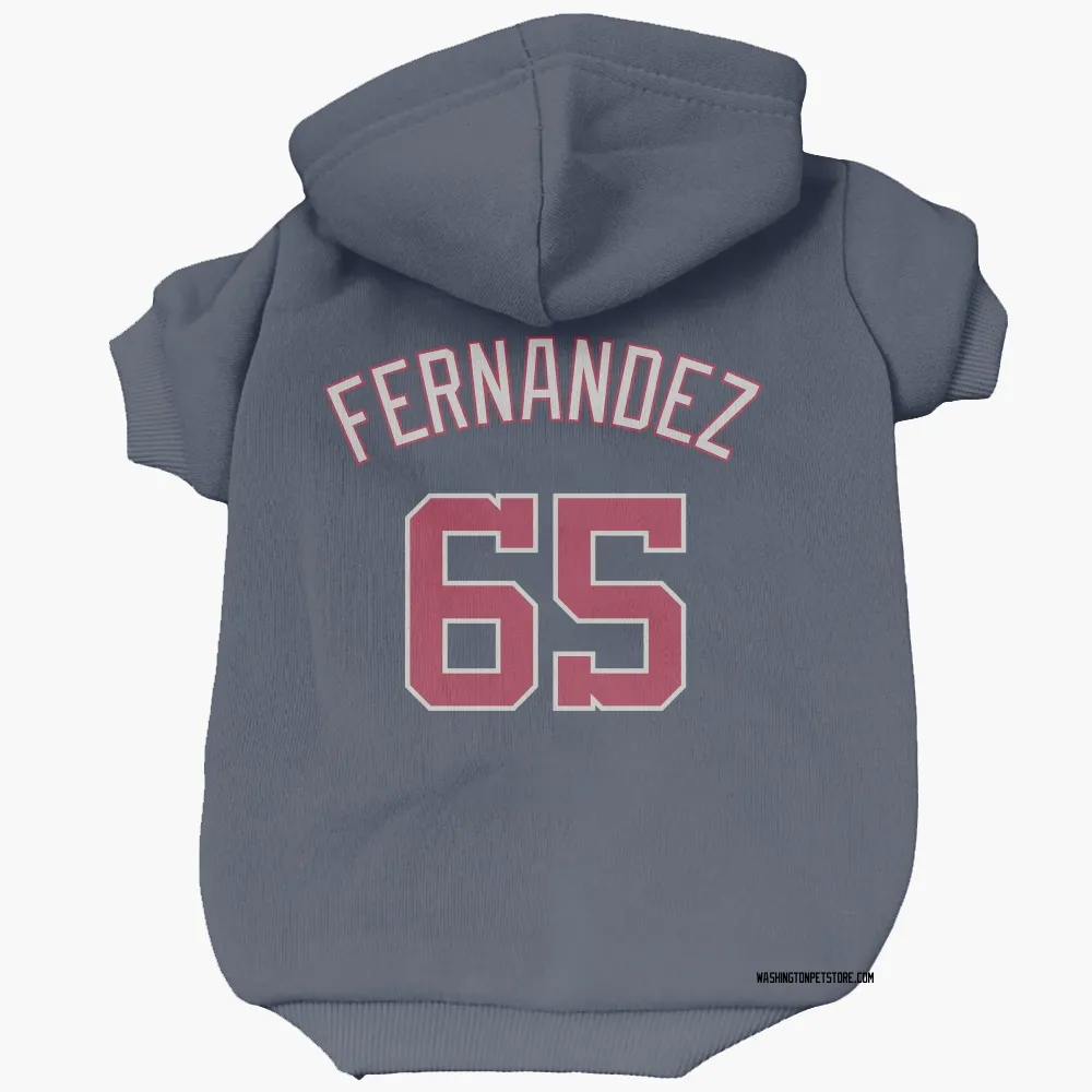 Washington Nationals Julian Fernandez Navy Pet Hoodie for Dog & Cat