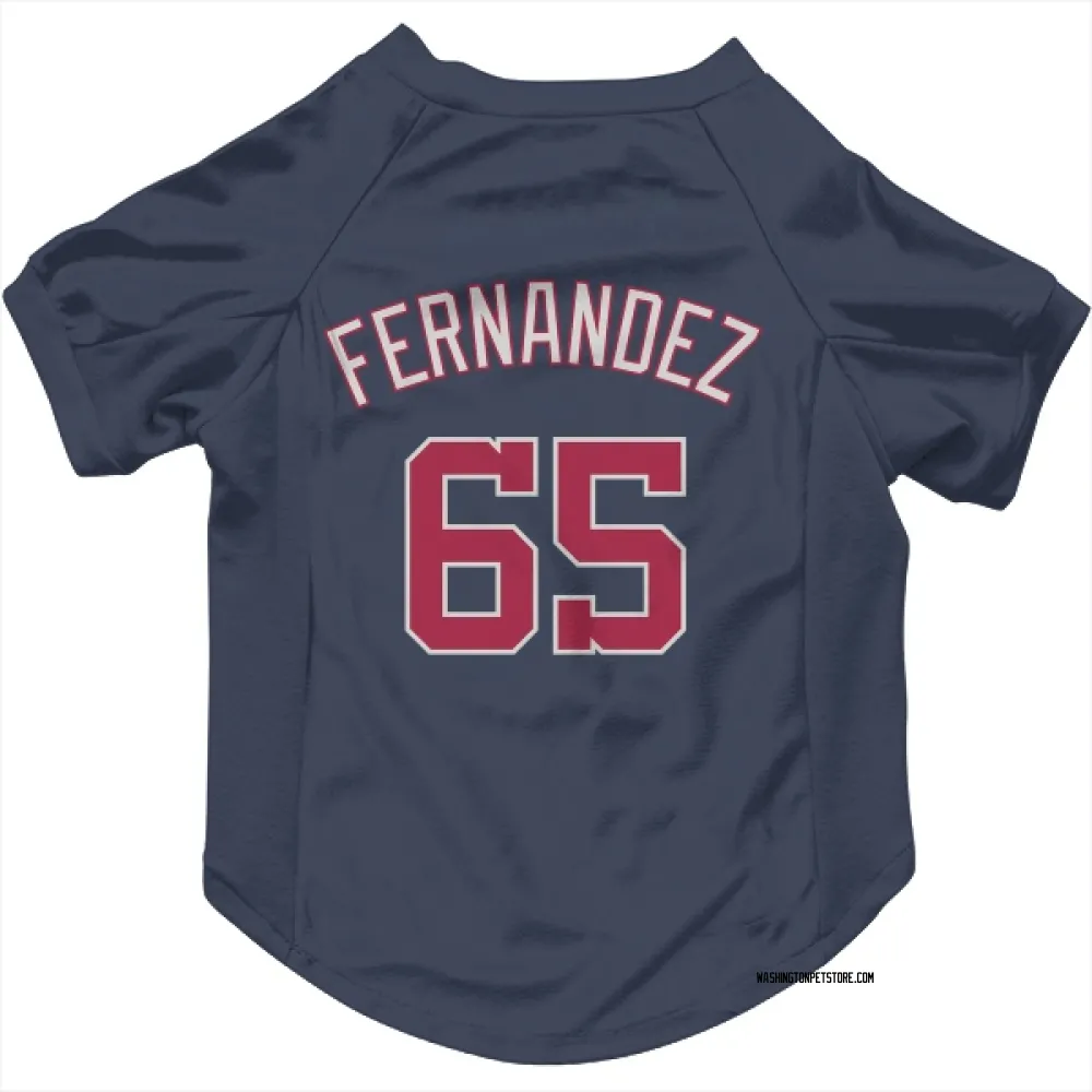 Washington Nationals Julian Fernandez Navy Pet Jersey for Dog & Cat