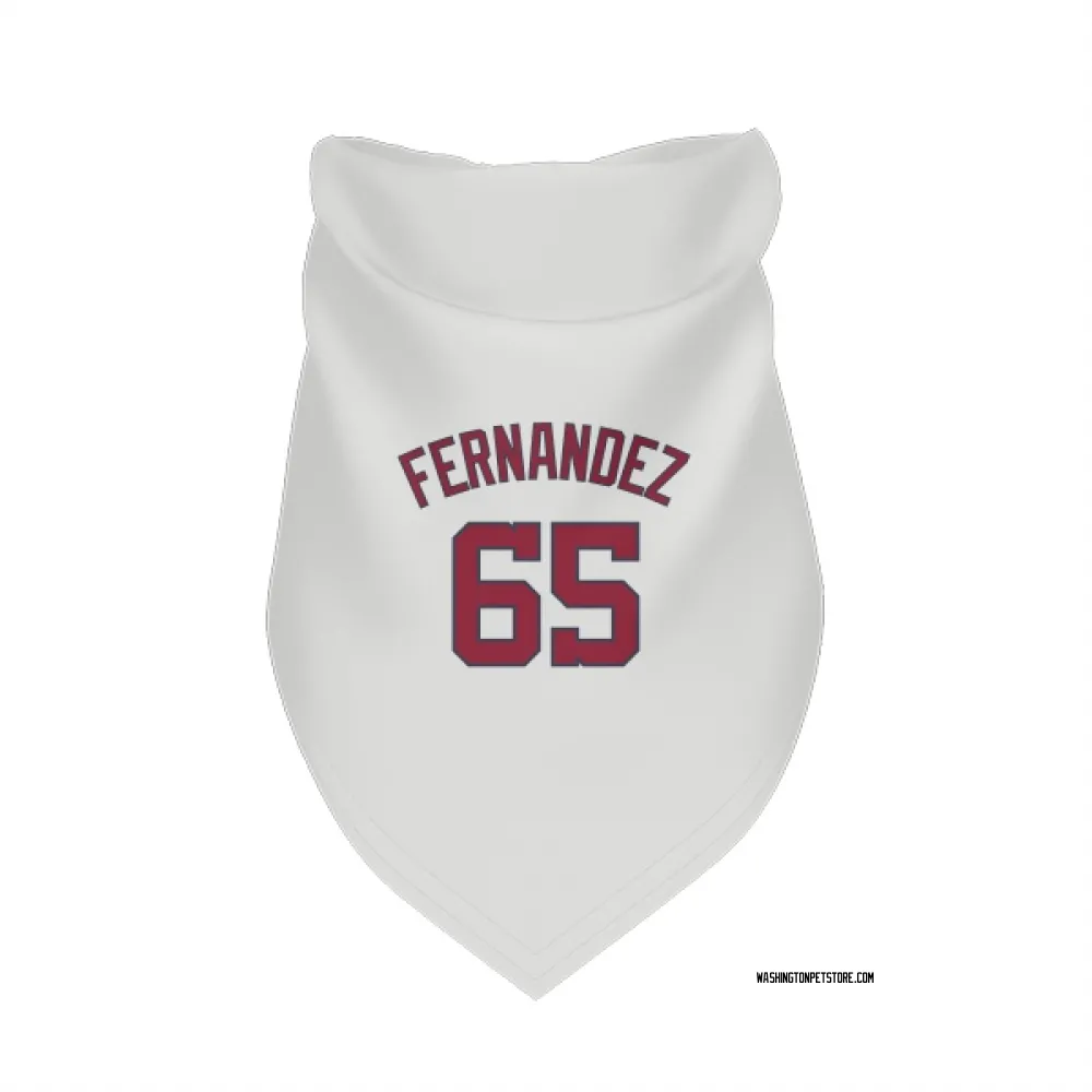 Washington Nationals Julian Fernandez White Pet Bandana for Dog & Cat