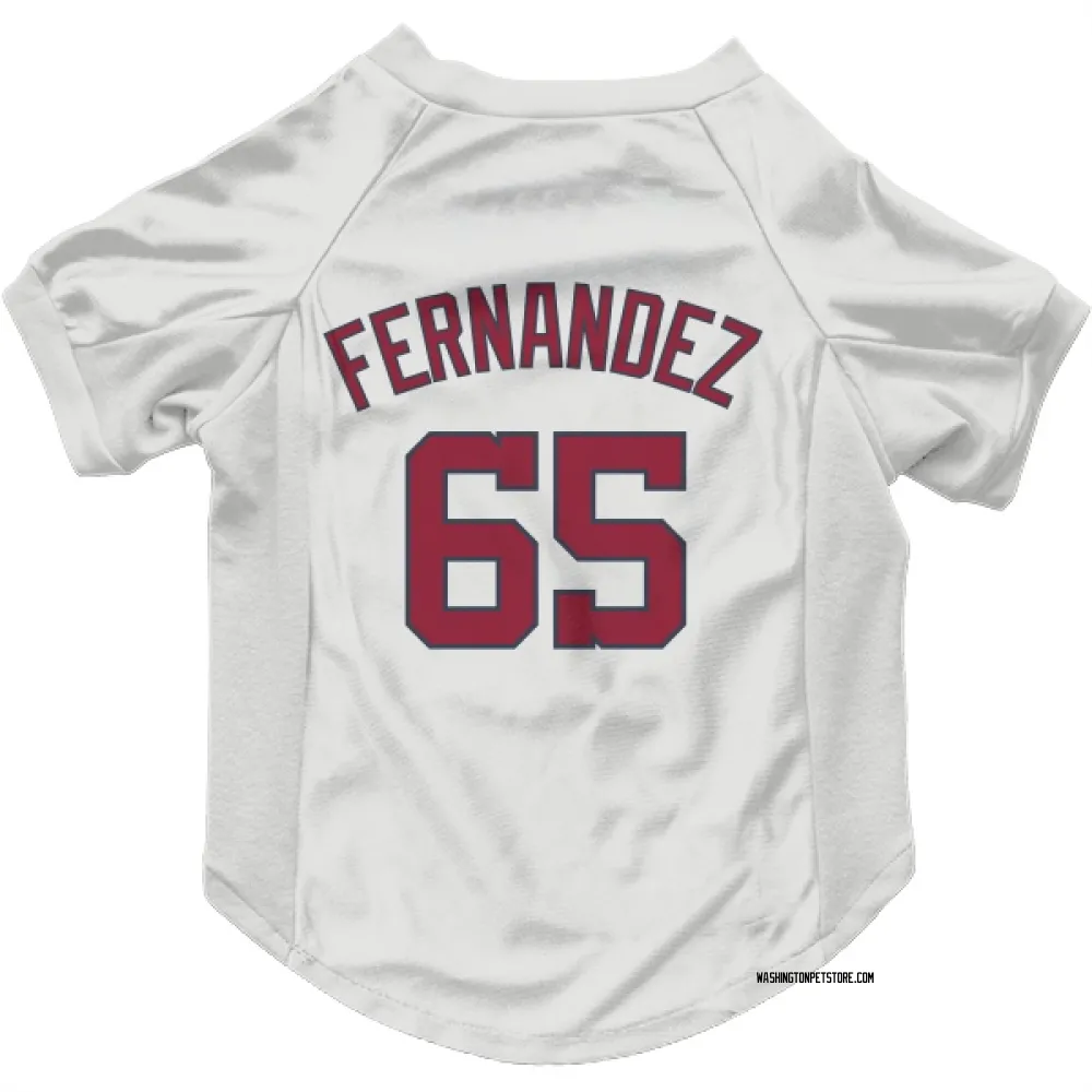 Washington Nationals Julian Fernandez White Pet Jersey for Dog & Cat