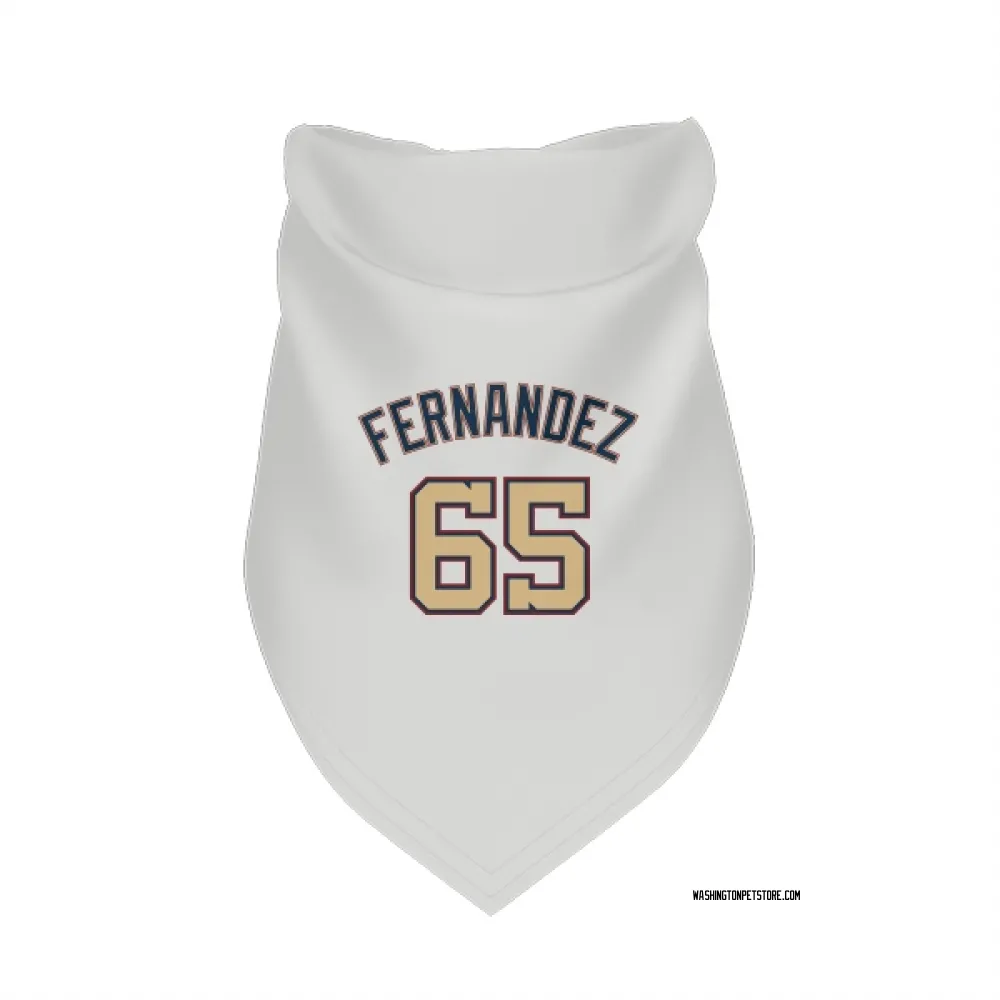Washington Nationals Julian Fernandez White/Gold Pet Bandana for Dog & Cat