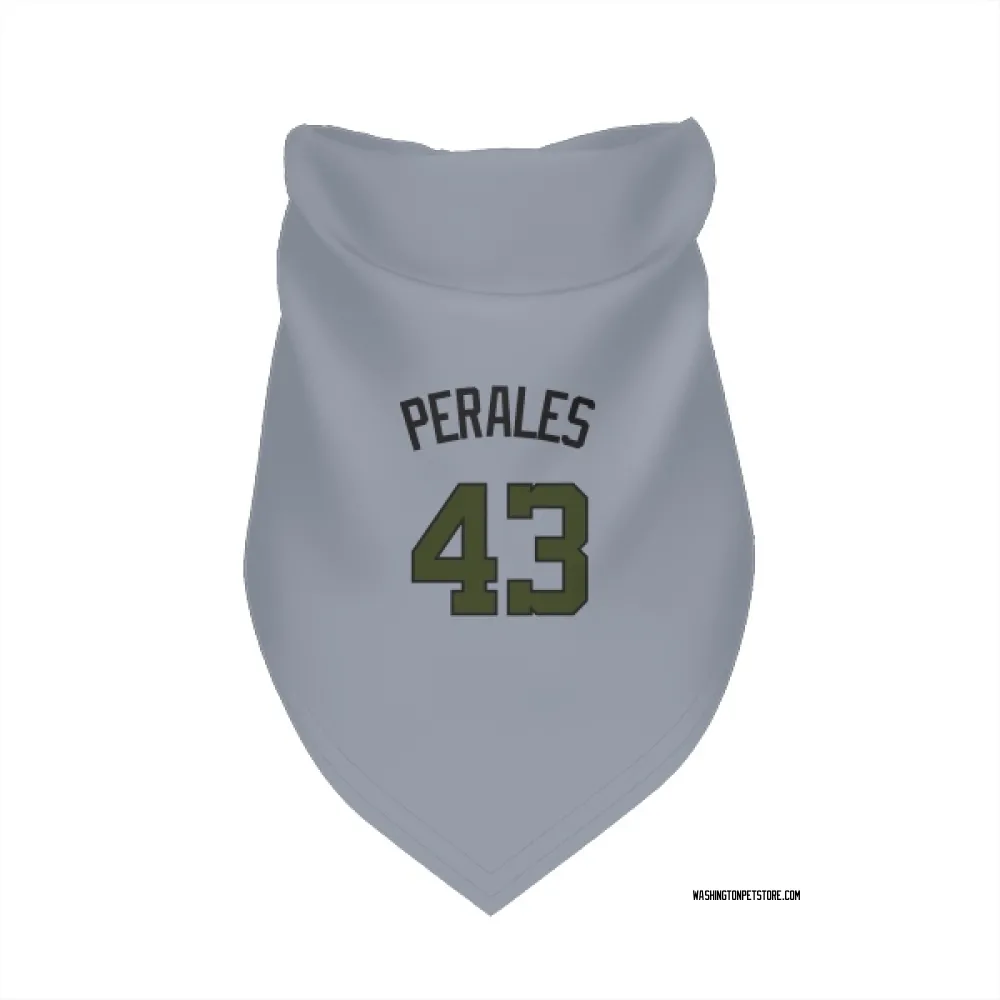 Washington Nationals Luis Perales Gray Pet Bandana for Dog & Cat