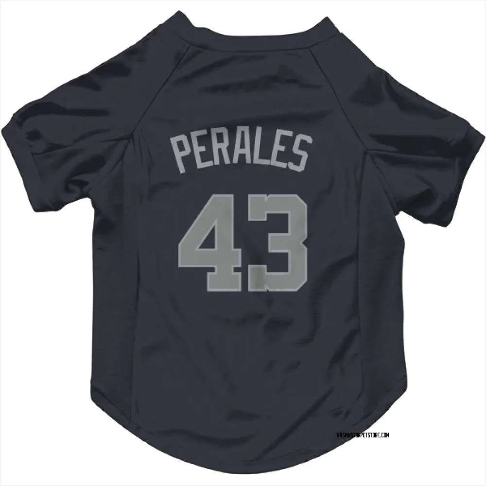 Washington Nationals Luis Perales Navy Gray Pet Jersey for Dog & Cat