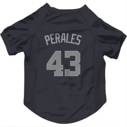 Washington Nationals Luis Perales Navy Gray Pet Jersey for Dog & Cat