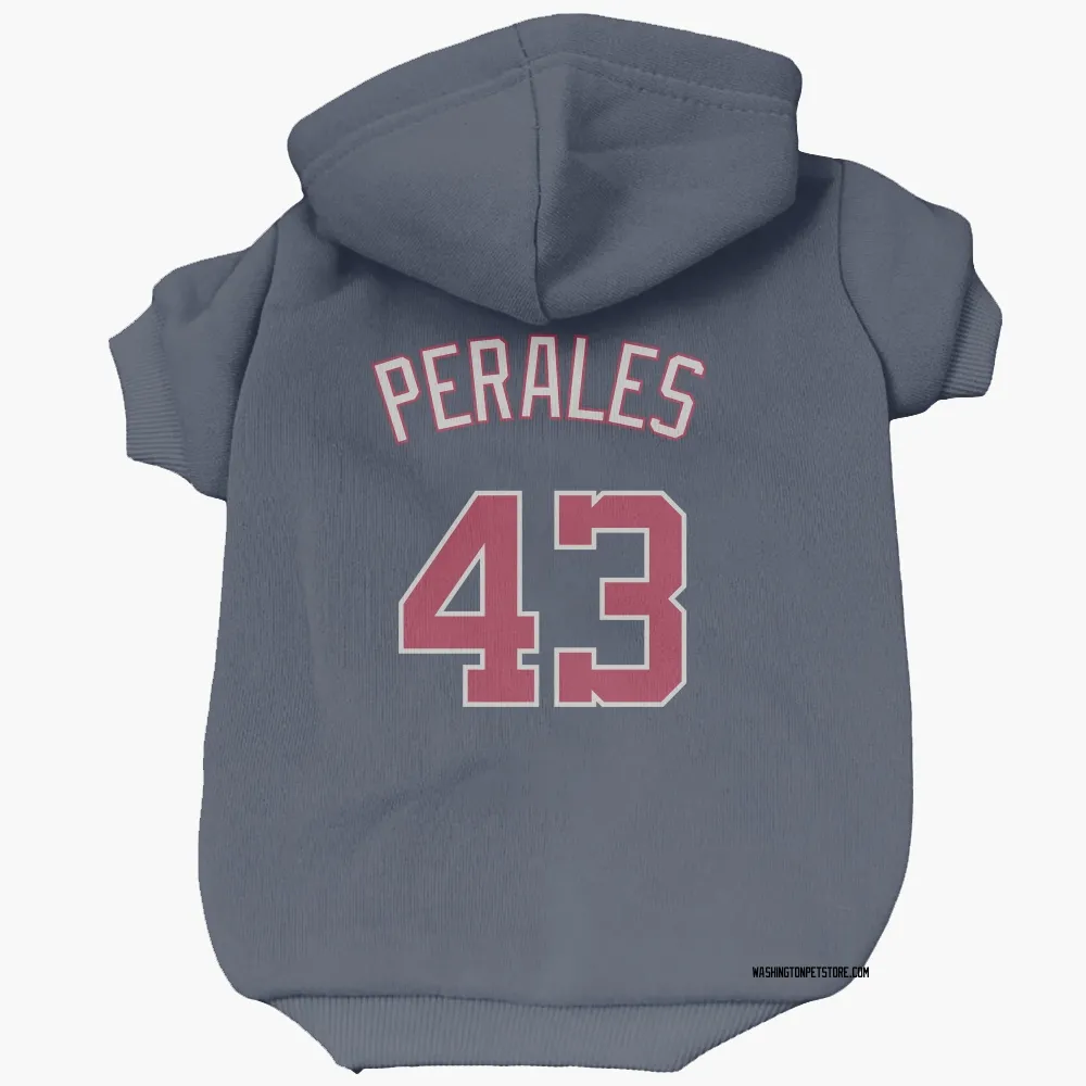 Washington Nationals Luis Perales Navy Pet Hoodie for Dog & Cat