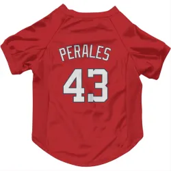 Washington Nationals Luis Perales Red Pet Jersey for Dog & Cat