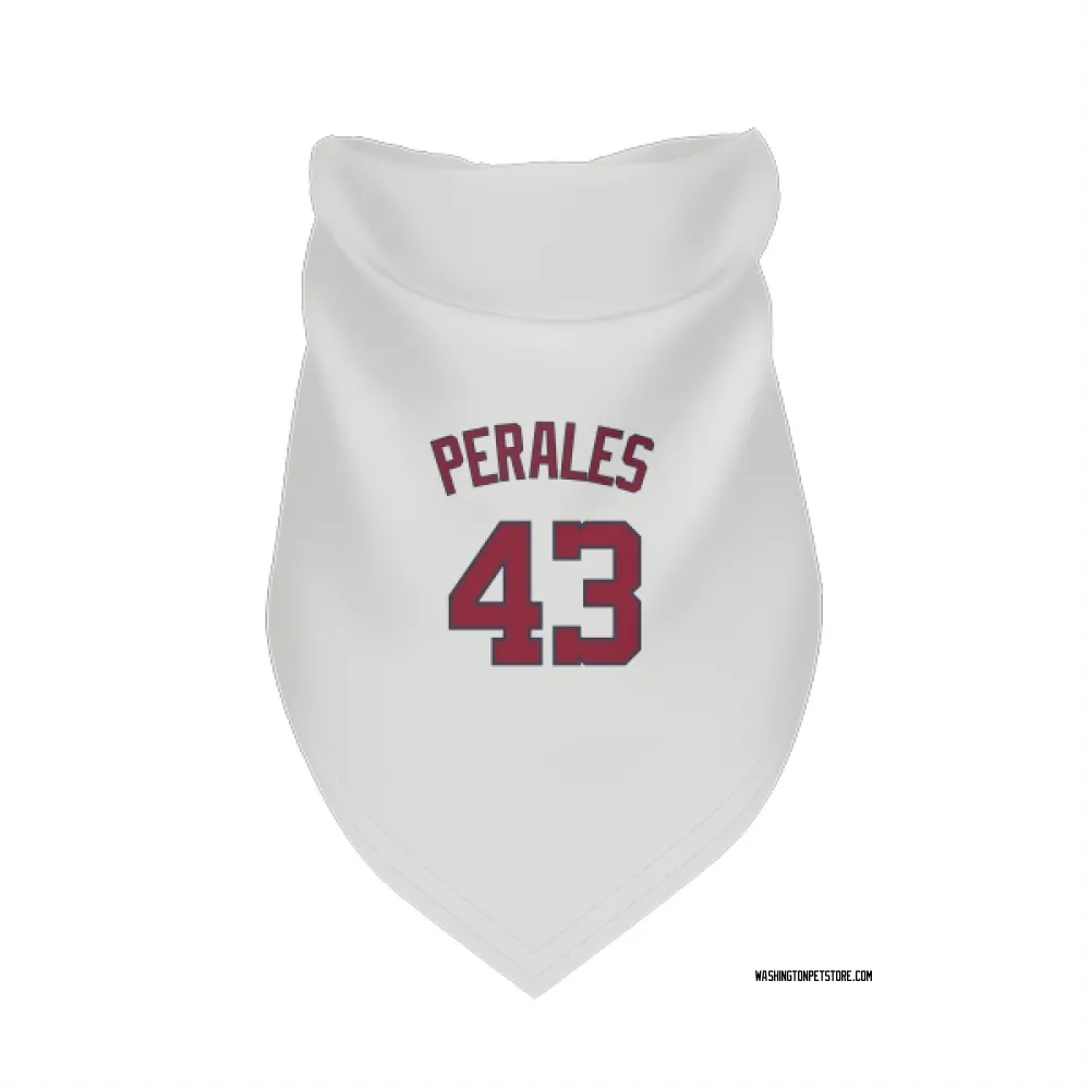 Washington Nationals Luis Perales White Pet Bandana for Dog & Cat