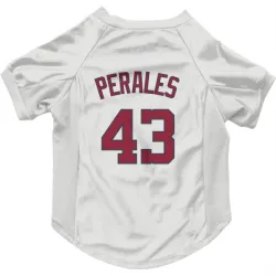 Washington Nationals Luis Perales White Pet Jersey for Dog & Cat