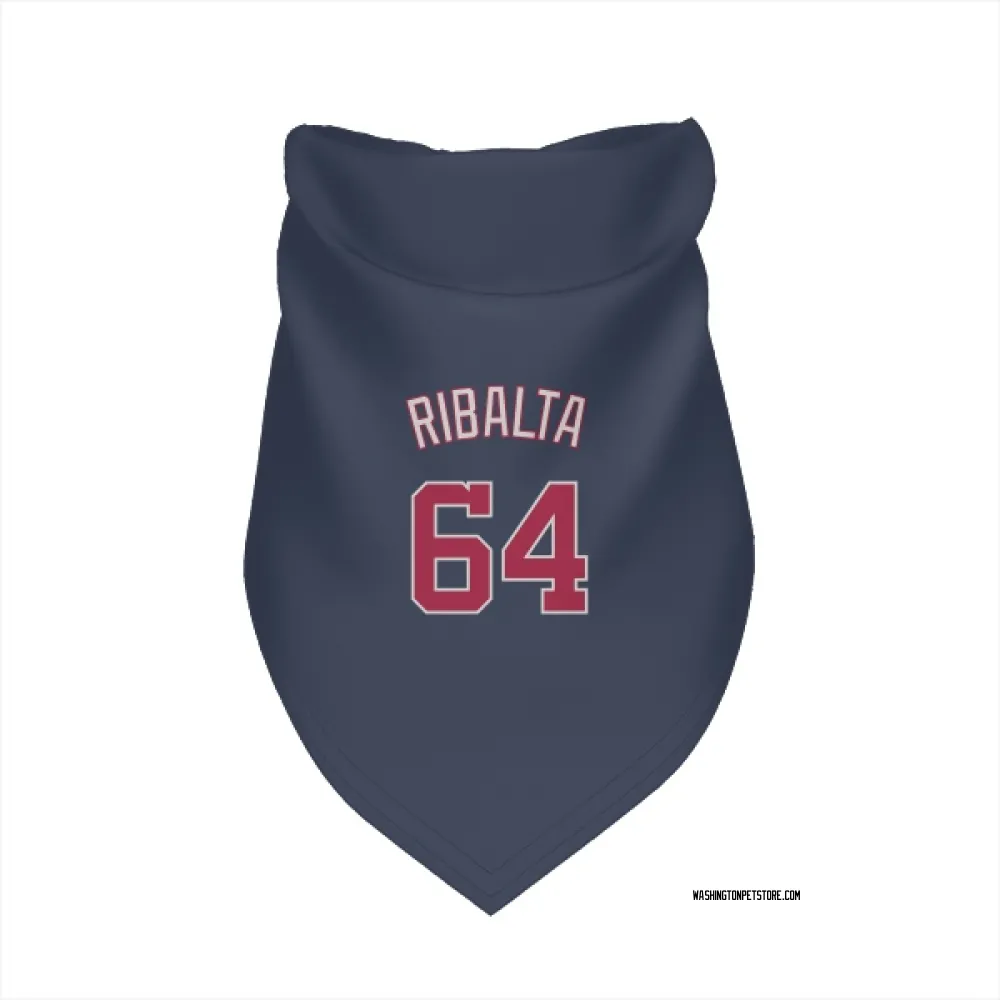 Washington Nationals Orlando Ribalta Navy Pet Bandana for Dog & Cat