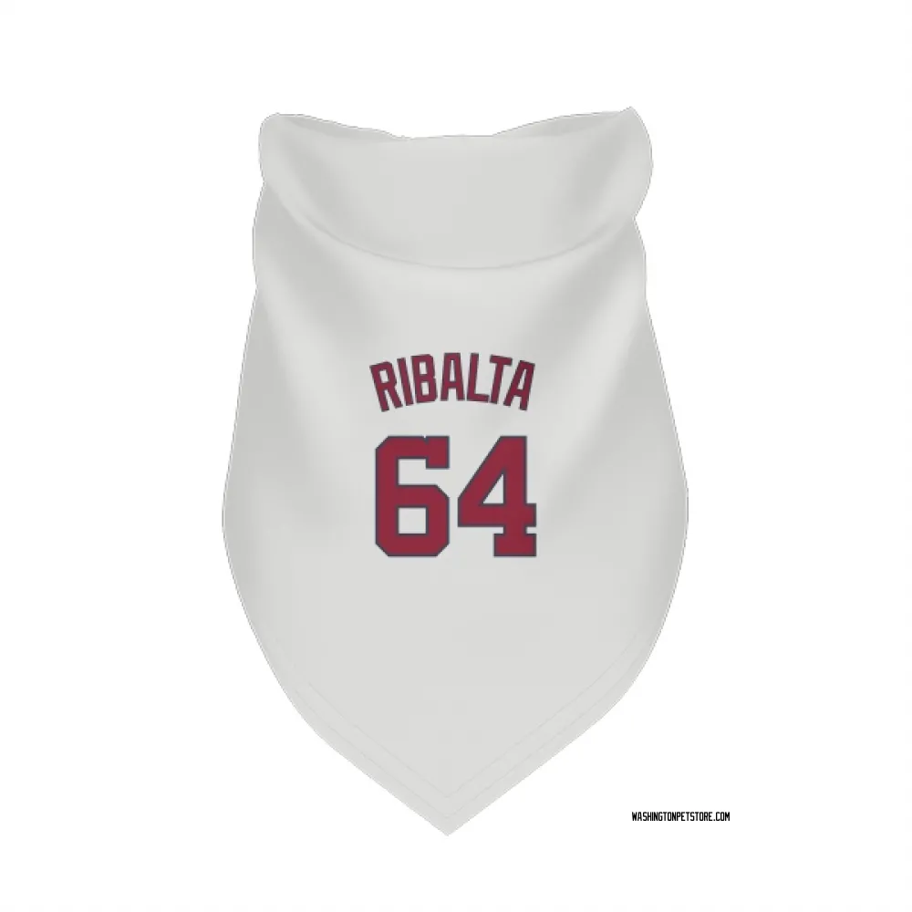 Washington Nationals Orlando Ribalta White Pet Bandana for Dog & Cat