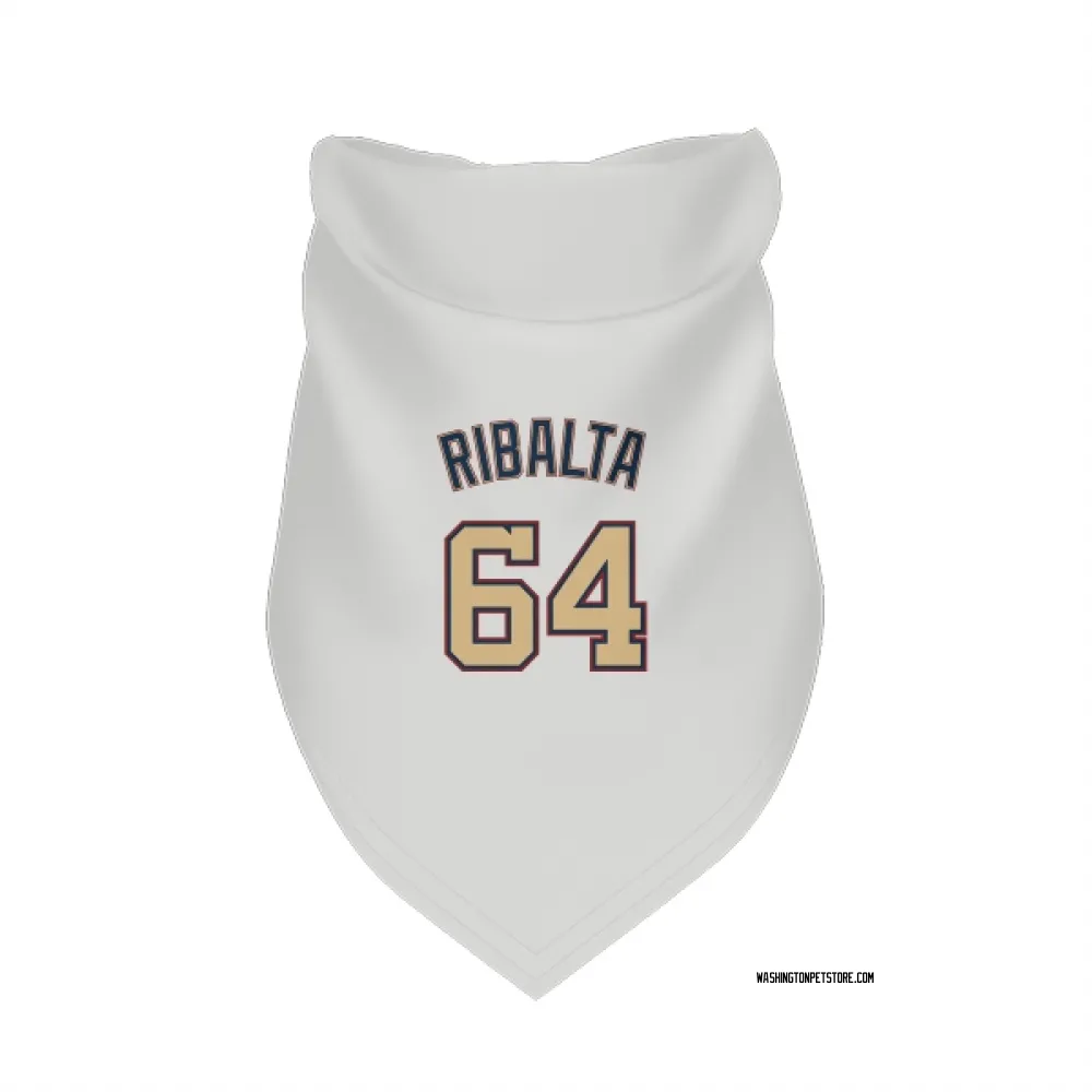 Washington Nationals Orlando Ribalta White/Gold Pet Bandana for Dog & Cat