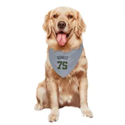 Washington Nationals Paxton Schultz Gray Pet Bandana for Dog & Cat
