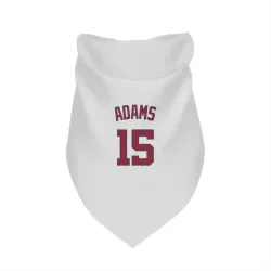 Washington Nationals Riley Adams White Pet Bandana for Dog & Cat