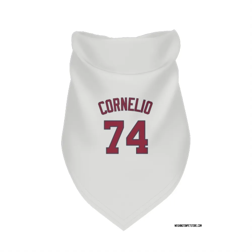 Washington Nationals Riley Cornelio White Pet Bandana for Dog & Cat