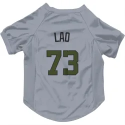 Washington Nationals Sauryn Lao Gray Pet Jersey for Dog & Cat