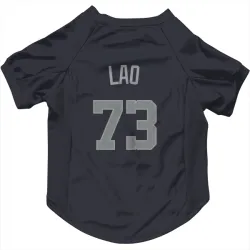 Washington Nationals Sauryn Lao Navy Gray Pet Jersey for Dog & Cat