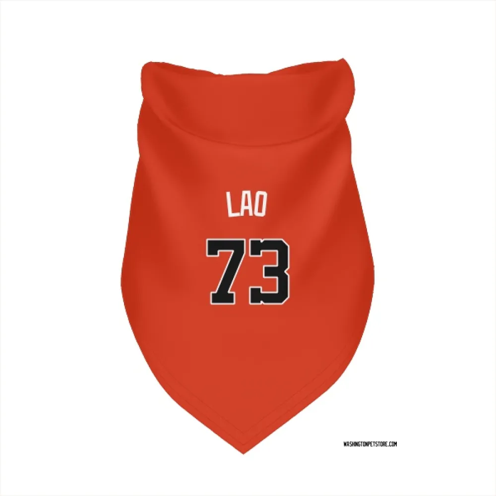 Washington Nationals Sauryn Lao Orange Pet Bandana for Dog & Cat