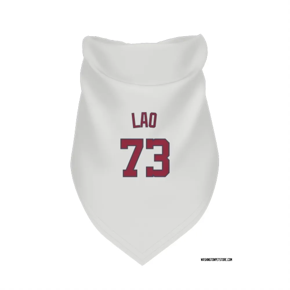Washington Nationals Sauryn Lao White Pet Bandana for Dog & Cat