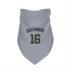Washington Nationals Shinnosuke Ogasawara Gray Pet Bandana for Dog & Cat