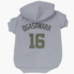 Washington Nationals Shinnosuke Ogasawara Gray Pet Hoodie for Dog & Cat