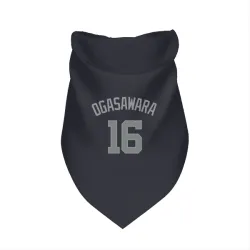 Washington Nationals Shinnosuke Ogasawara Navy Gray Pet Bandana for Dog & Cat