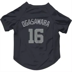 Washington Nationals Shinnosuke Ogasawara Navy Gray Pet Jersey for Dog & Cat