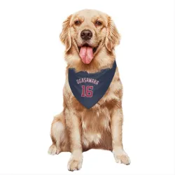 Washington Nationals Shinnosuke Ogasawara Navy Pet Bandana for Dog & Cat