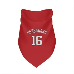 Washington Nationals Shinnosuke Ogasawara Red Pet Bandana for Dog & Cat