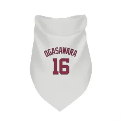 Washington Nationals Shinnosuke Ogasawara White Pet Bandana for Dog & Cat